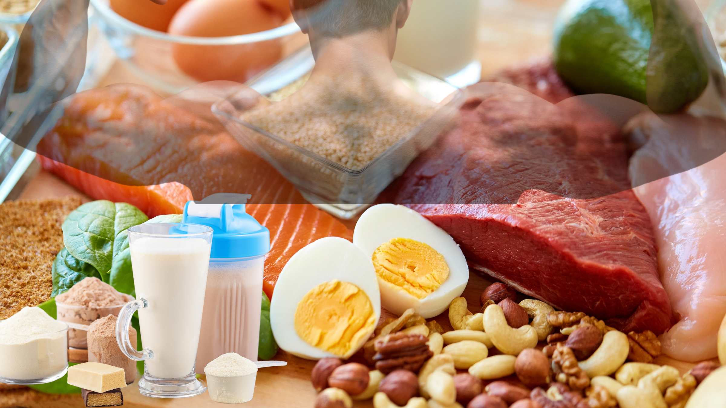 Läs mer om artikeln Bra proteinkällor – vad innehåller mest protein?